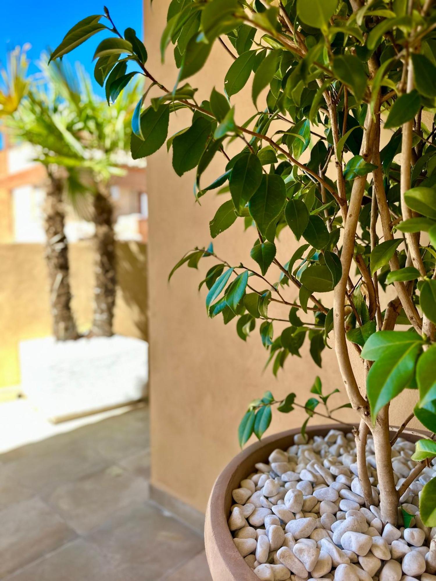 Libelle Apartment Granada Luaran gambar